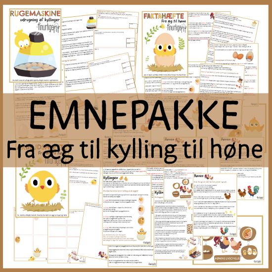 Fra æg til kylling til høne - Emnepakke