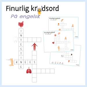 Krydsord - Kroppen på engelsk