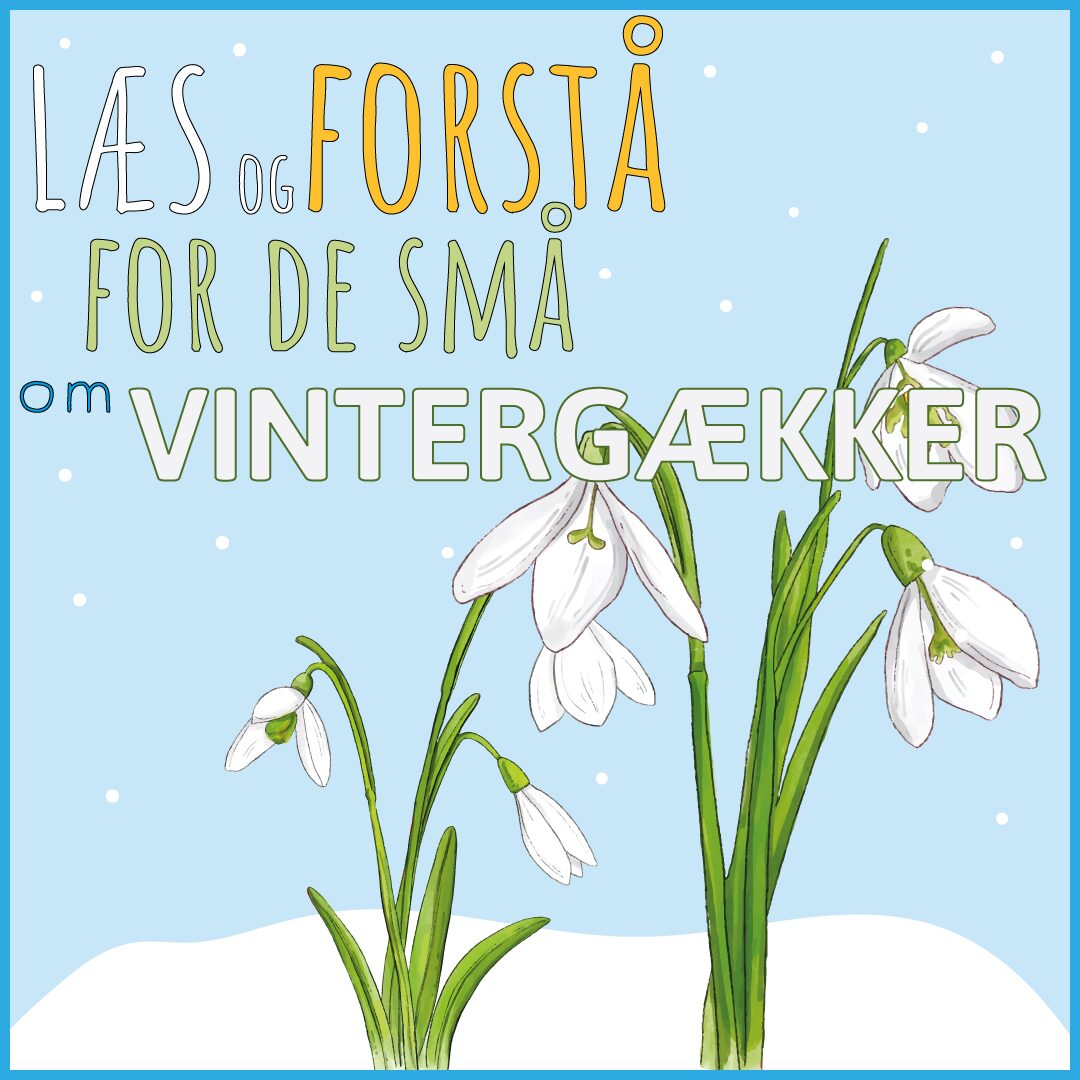 LæsogForstå - for de små - Vintergækker