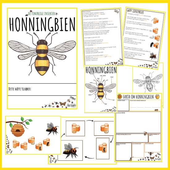 finurlige insekter og smådyr - Honningbien